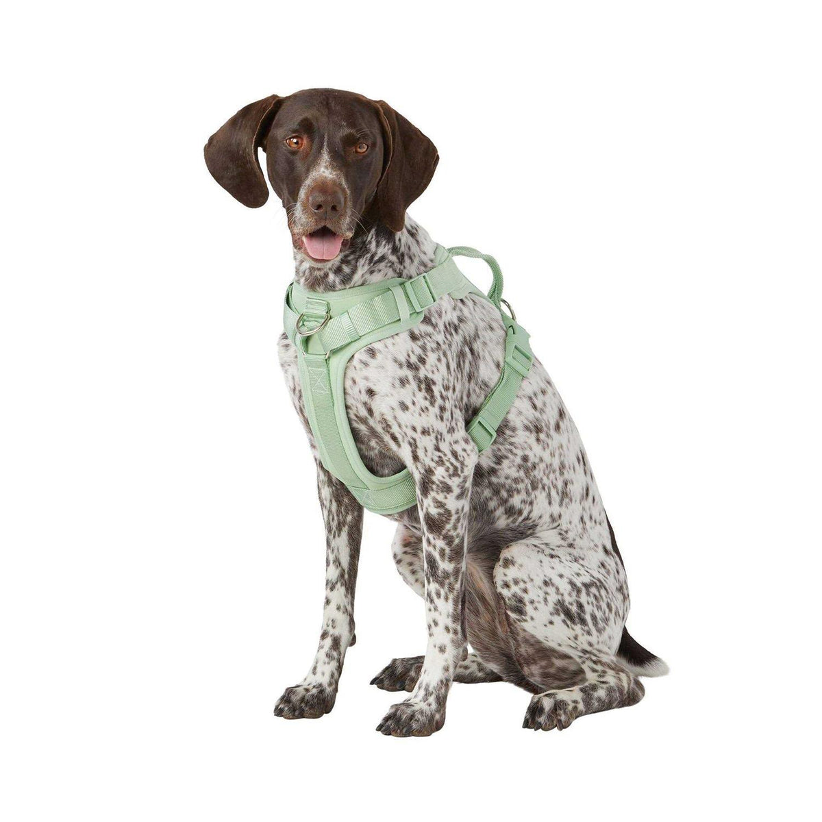 Adjustable Dog Harness G646009