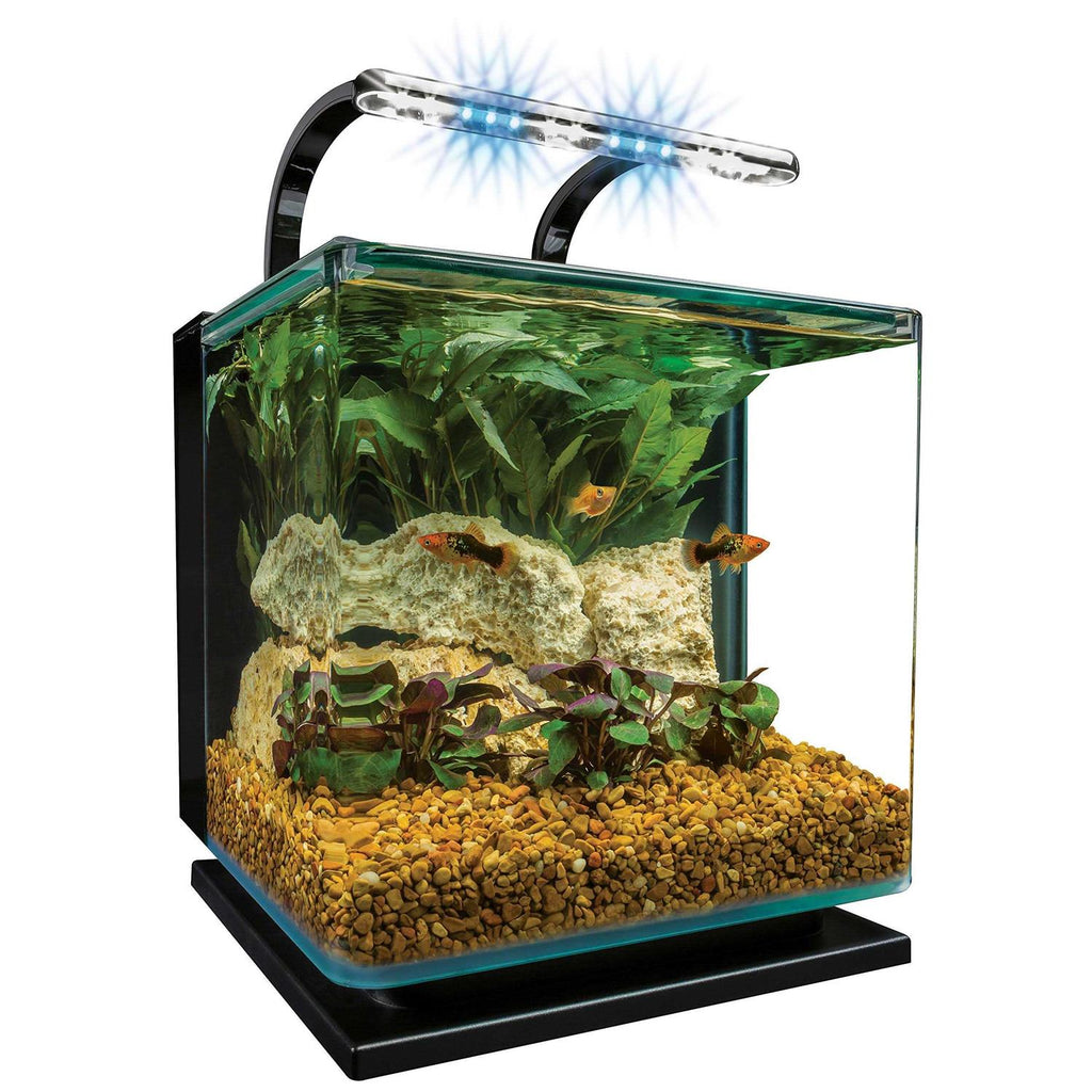 5 Gallon Kit L40632