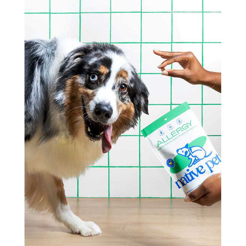 Allergy Chews for Dogs U1421