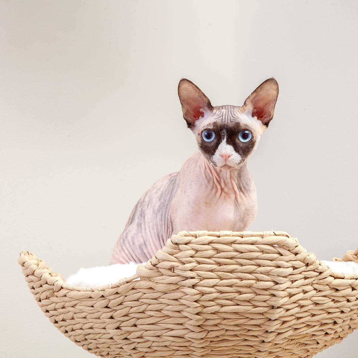 Modern Cat Tree Elevated Tower R826978