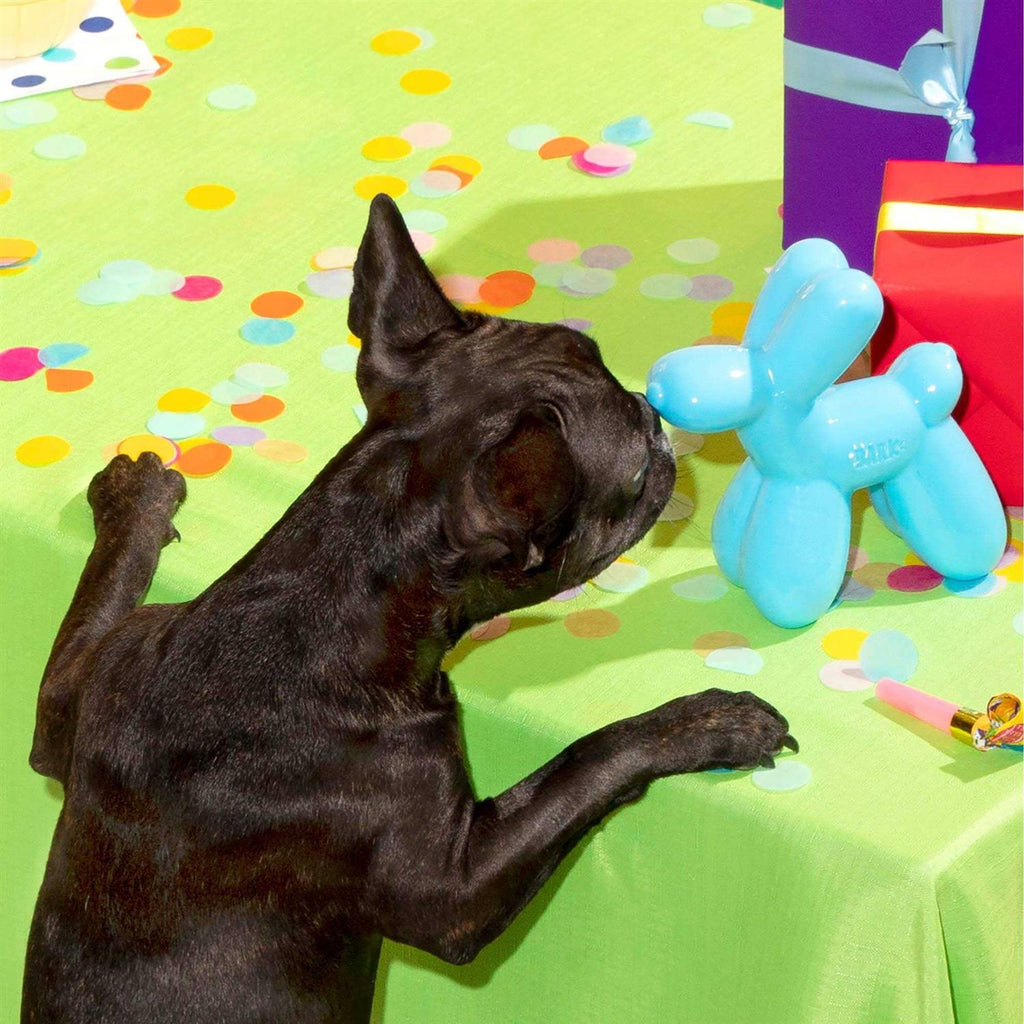 Super Chewer Dog Toy Z204547