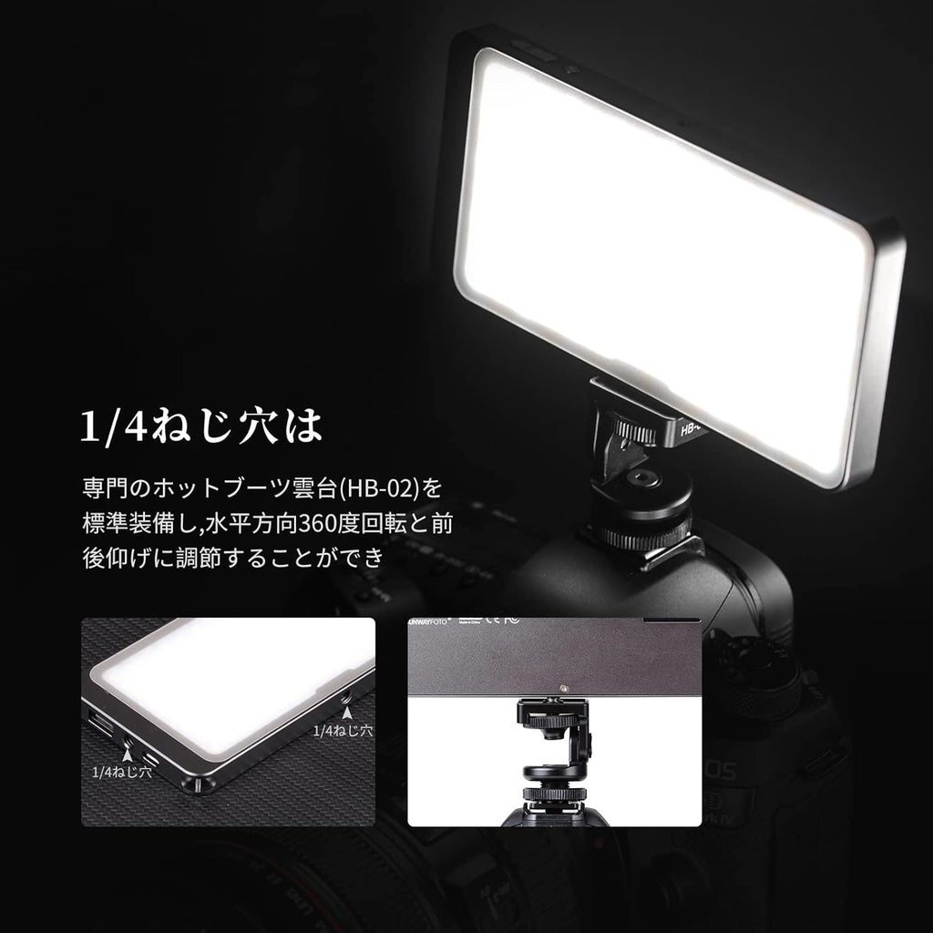 Bi-Color LED Video Light Kit Panel Pack of 2 T104