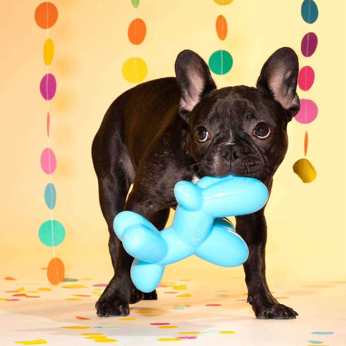 Super Chewer Dog Toy Z204547