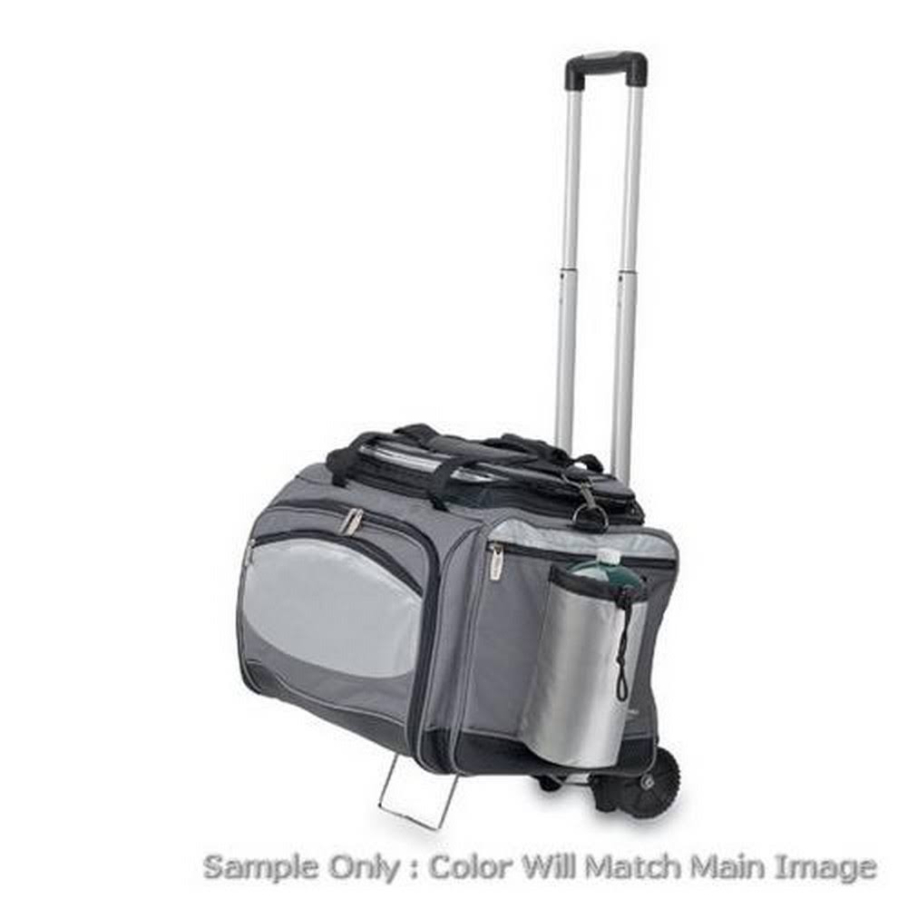 Vulcan Cooler and Propane Grill D286