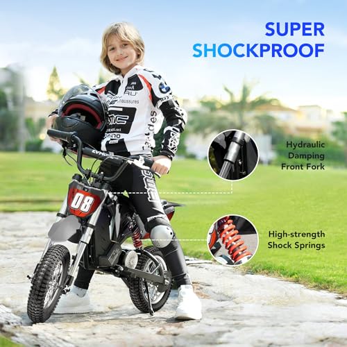 Kids Electric Dirt Bike 36V 350W 3-Speed R766
