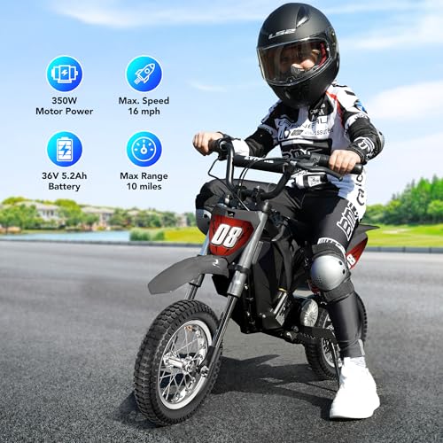 Kids Electric Dirt Bike 36V 350W 3-Speed R766