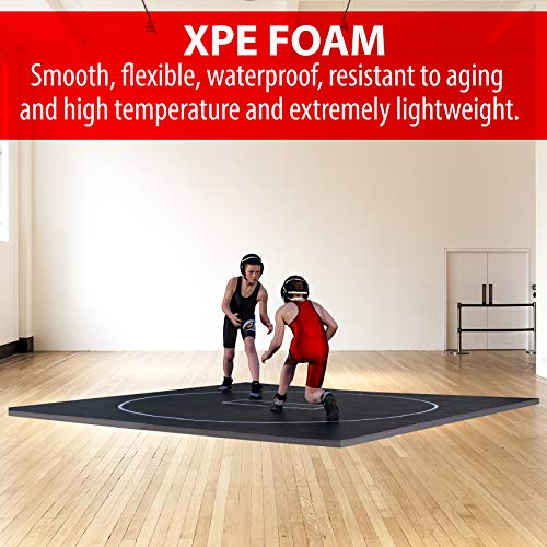 10' x 10' Wrestling Mat B629