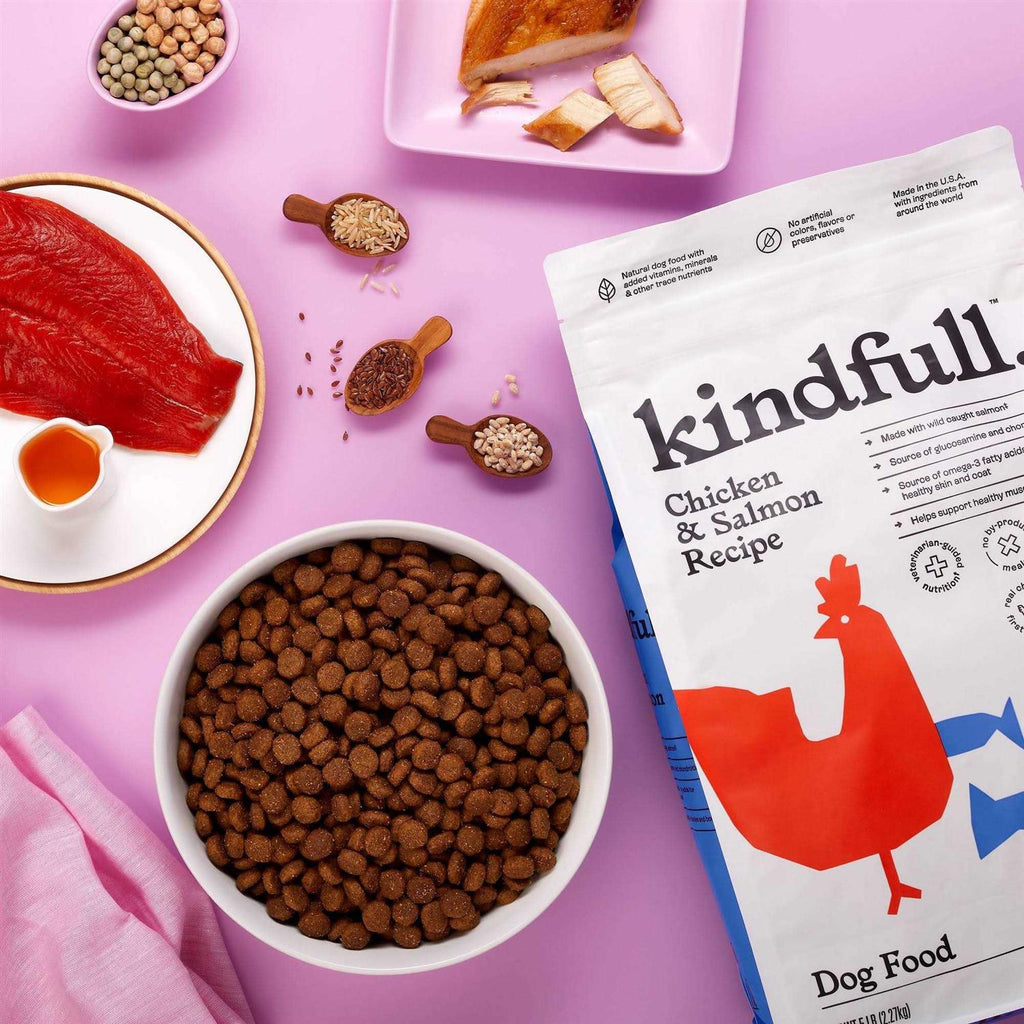 Chicken and Salmon Recipe Dry Dog Food H785