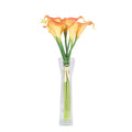 Orange Calla Lily R556730