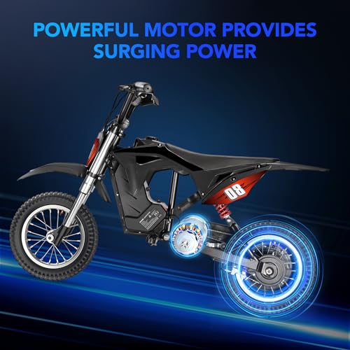 Kids Electric Dirt Bike 36V 350W 3-Speed R766
