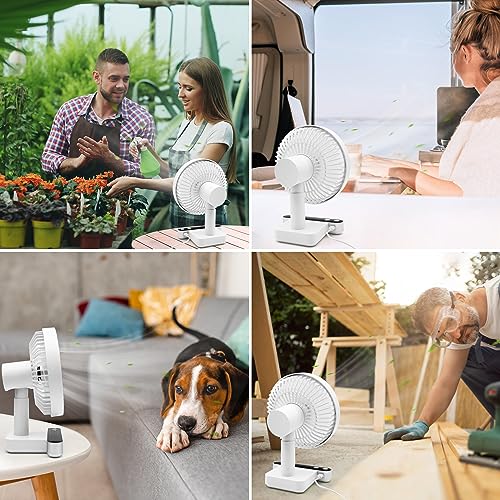 Rechargeable Oscillating Desk Fan D4242