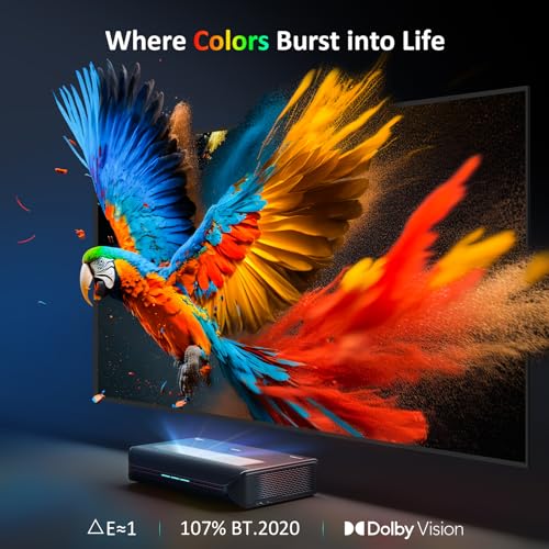 Aurora Pro Projector N2130