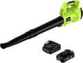 Cordless Leaf Blower with Battery & Charger D399669