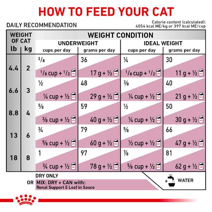 Veterinary Diet Feline Renal Support S Adult Dry Cat Food K5942