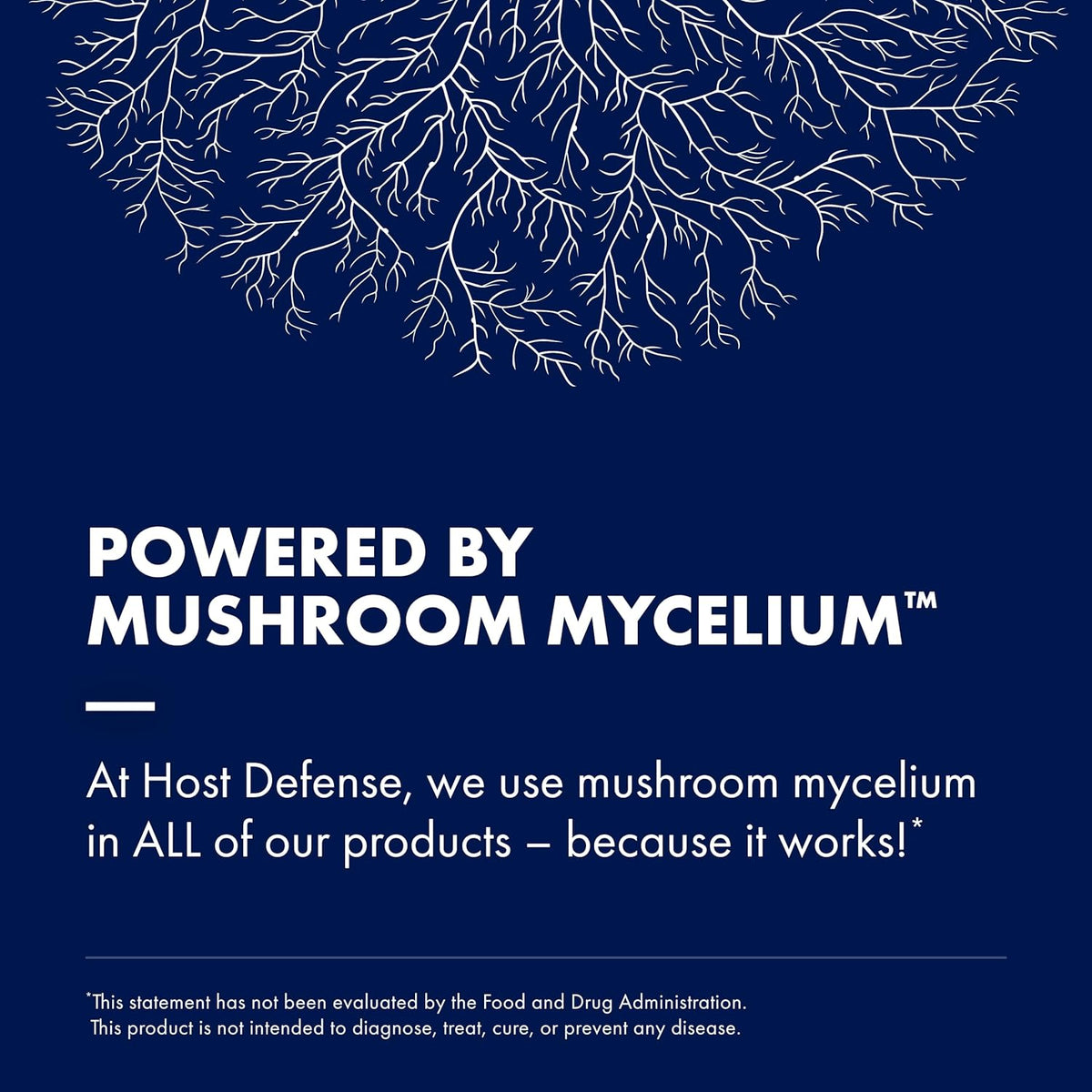 17 Species Blend Mushroom Supplement Powder, 100g (66 Servings) C292