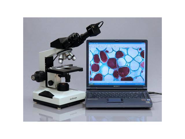 40X-1600X Compound Biological Microscope B971