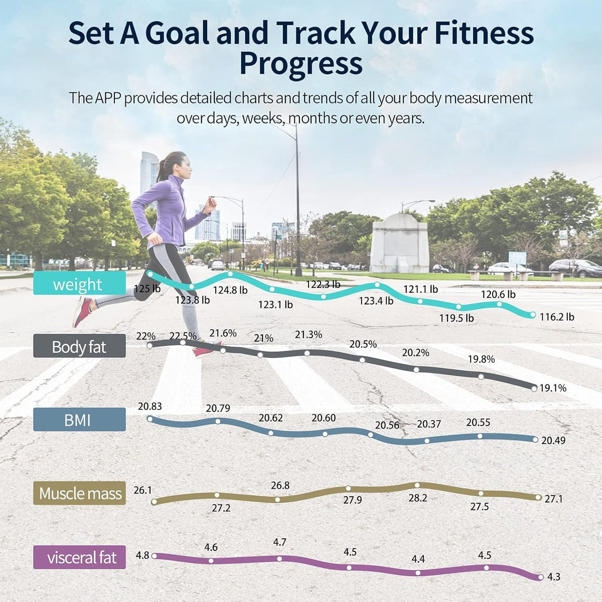 Body Weight and Fat Digital Bathroom Scale T976585