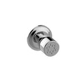 Wall Mount Body Spray with Solid Brass Swivel Head U96468