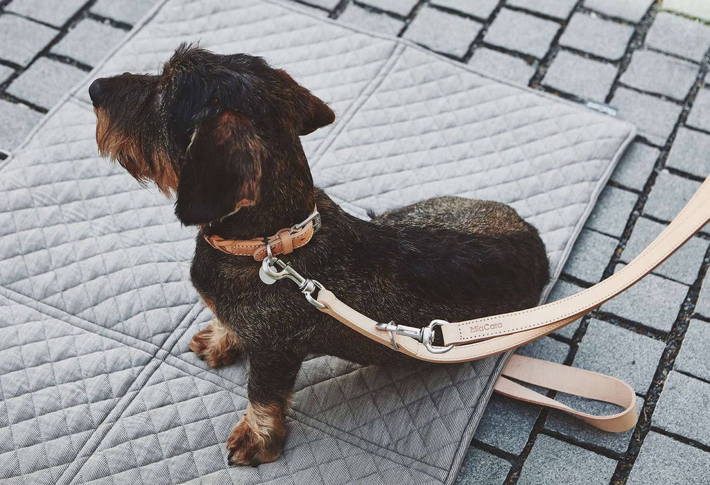 Brown Extra Large Dog Collar U974