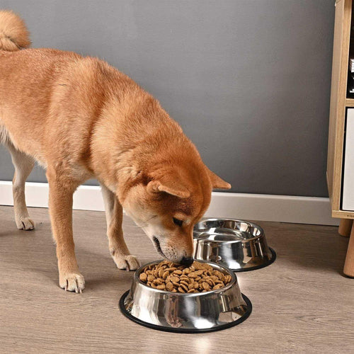 2 Packs Stainless Steel Dog Bowl with Anti-Skid Rubber Base L255340