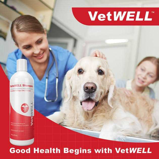 Antiseptic Dog Cat & Horse Shampoo Z288277