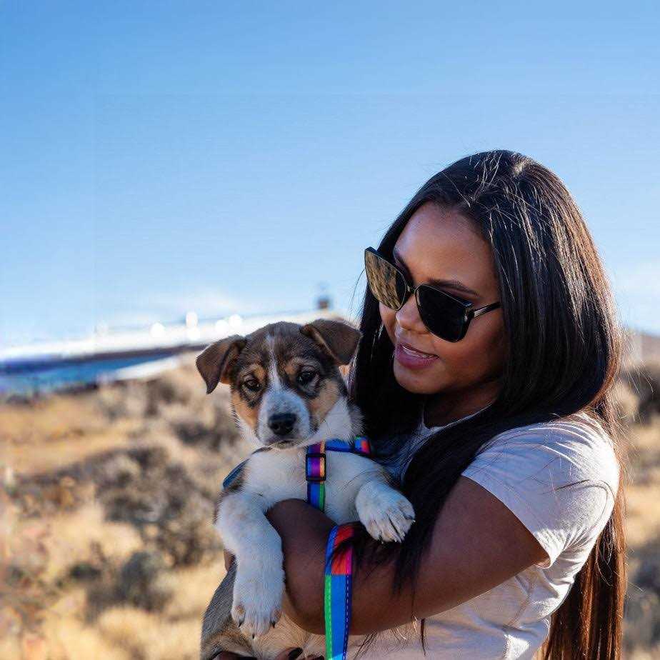 Comfort Dog Harness J199