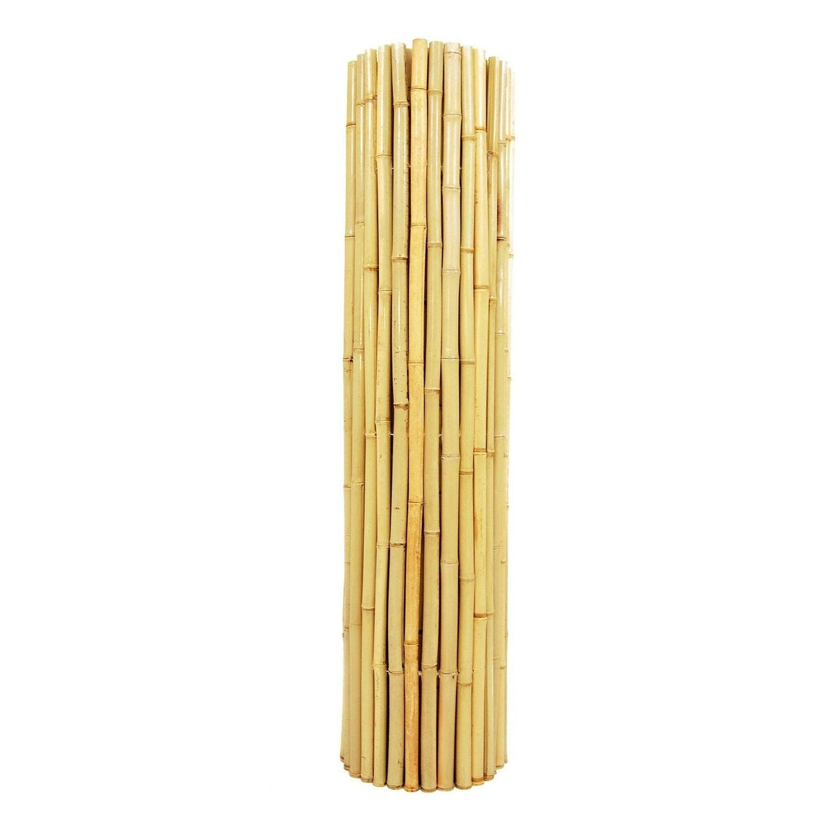 Natural Bamboo Fencing D361472