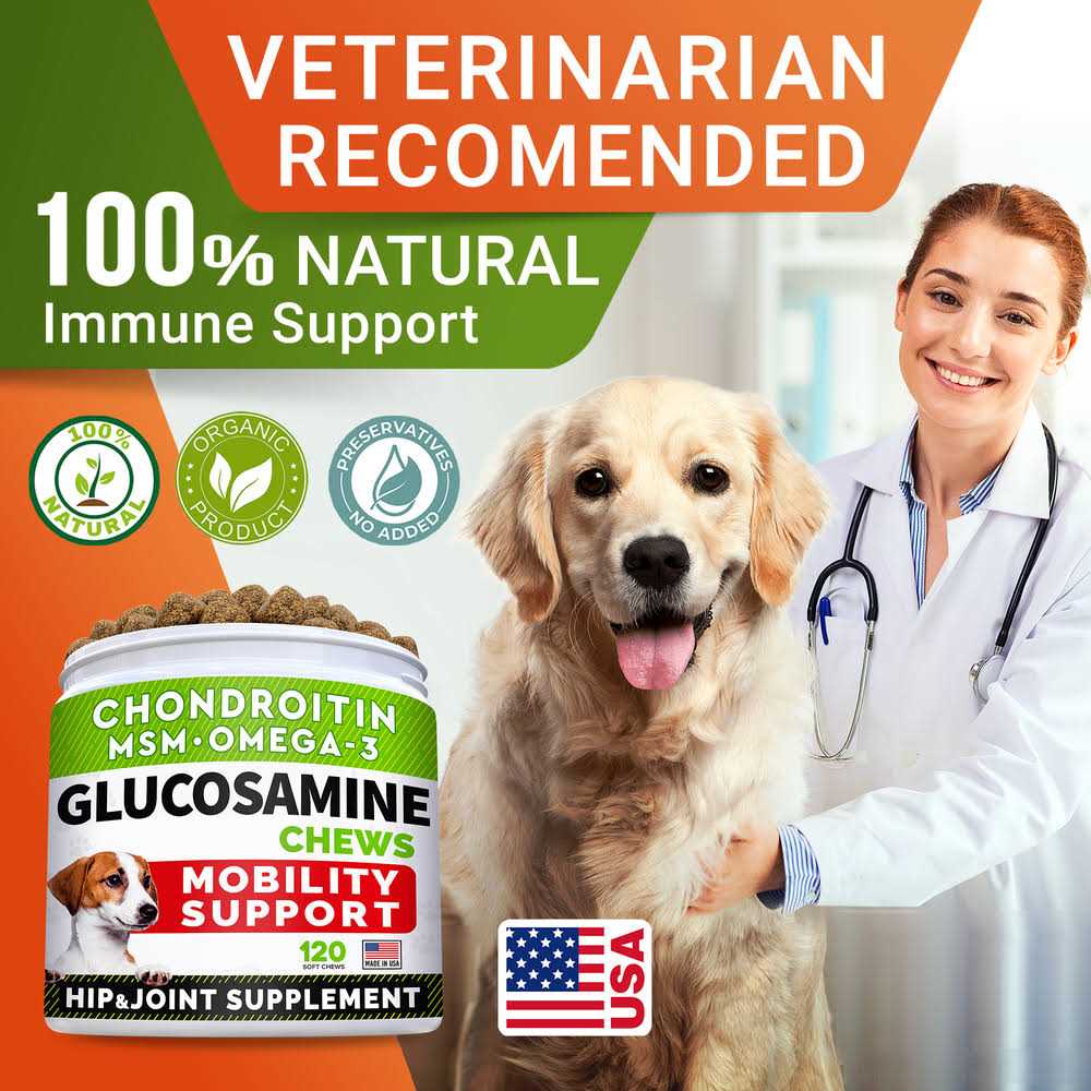 Glucosamine Treats for Dogs L172971
