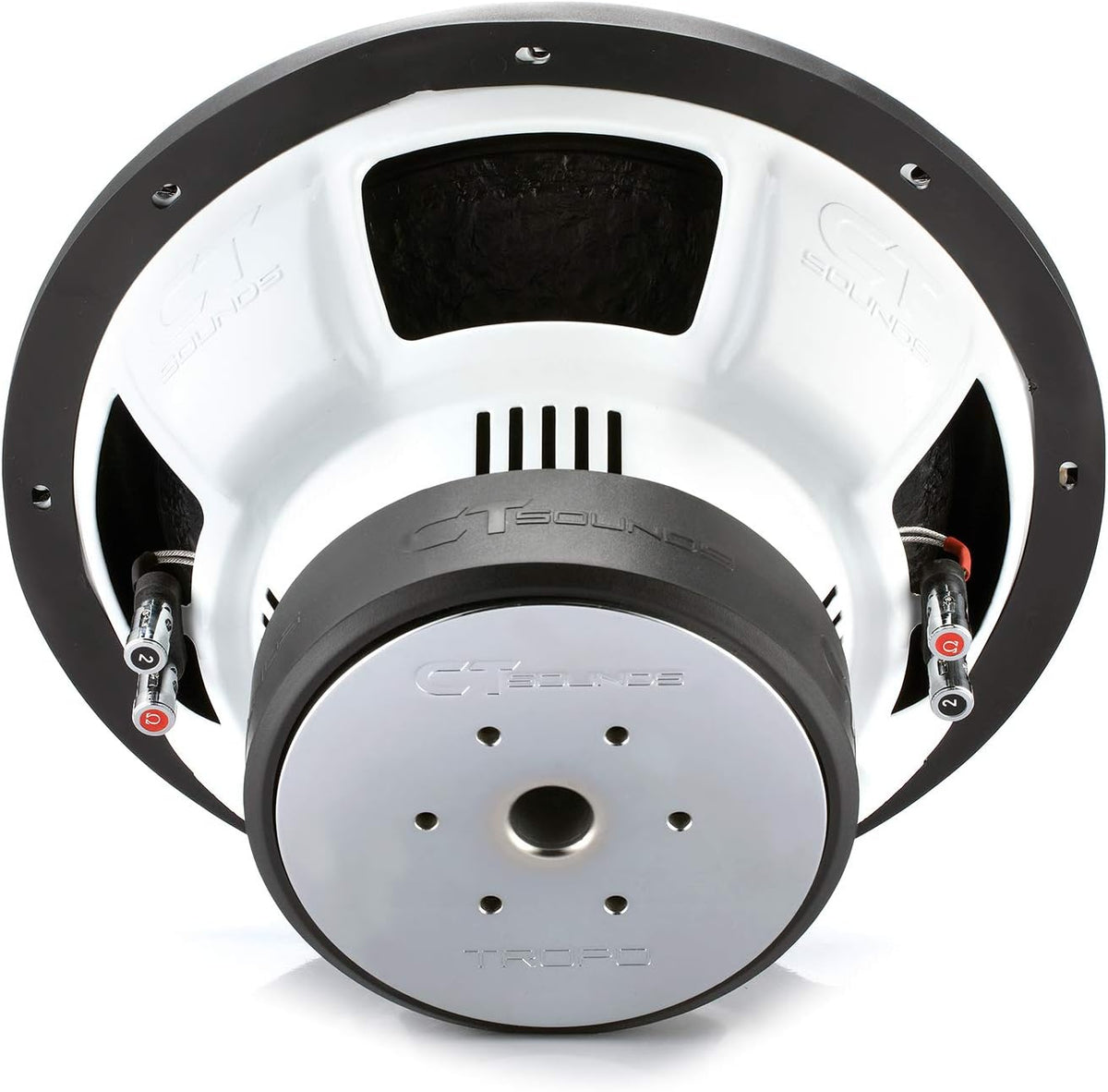 12 Inch 1300 Watts Max Dual 2 Ohm Car Subwoofer C189