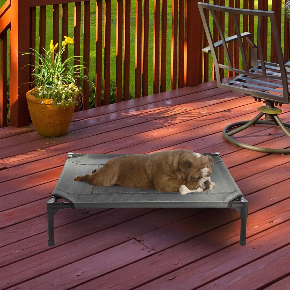 Cot-Style Elevated Pet Bed Z117017