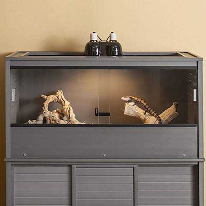 Reptile Lounge Z79341