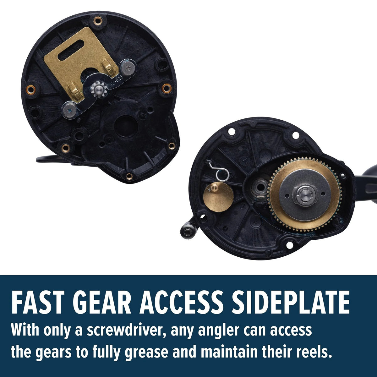 Squall II Level Wind Conventional Reel, Size 30, Left-Hand Y876