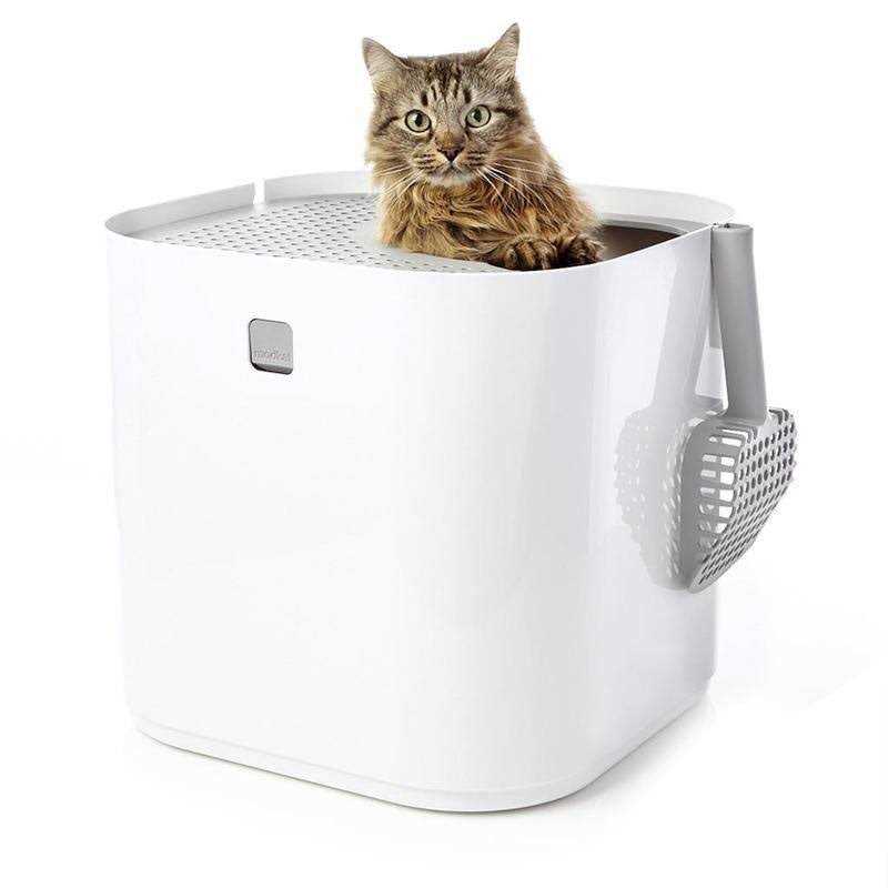 Litter Box D6654