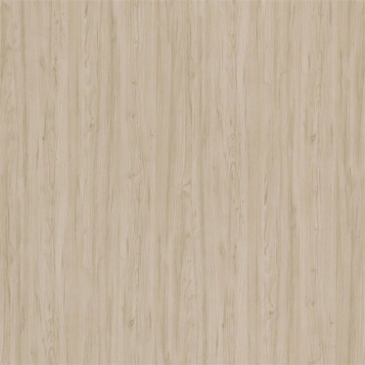 Adjustable Standing Desk in Natural Elm A40789