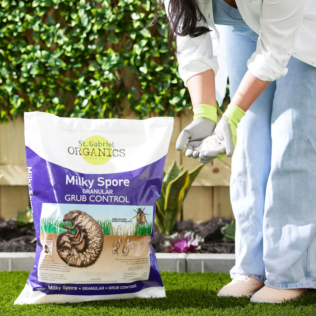 Milky Spore Granular Japanese Beetle Grub Control T463350