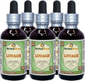 Organic Dried Lovage Alcohol-Free Liquid Extract 5x2 fl.oz S447