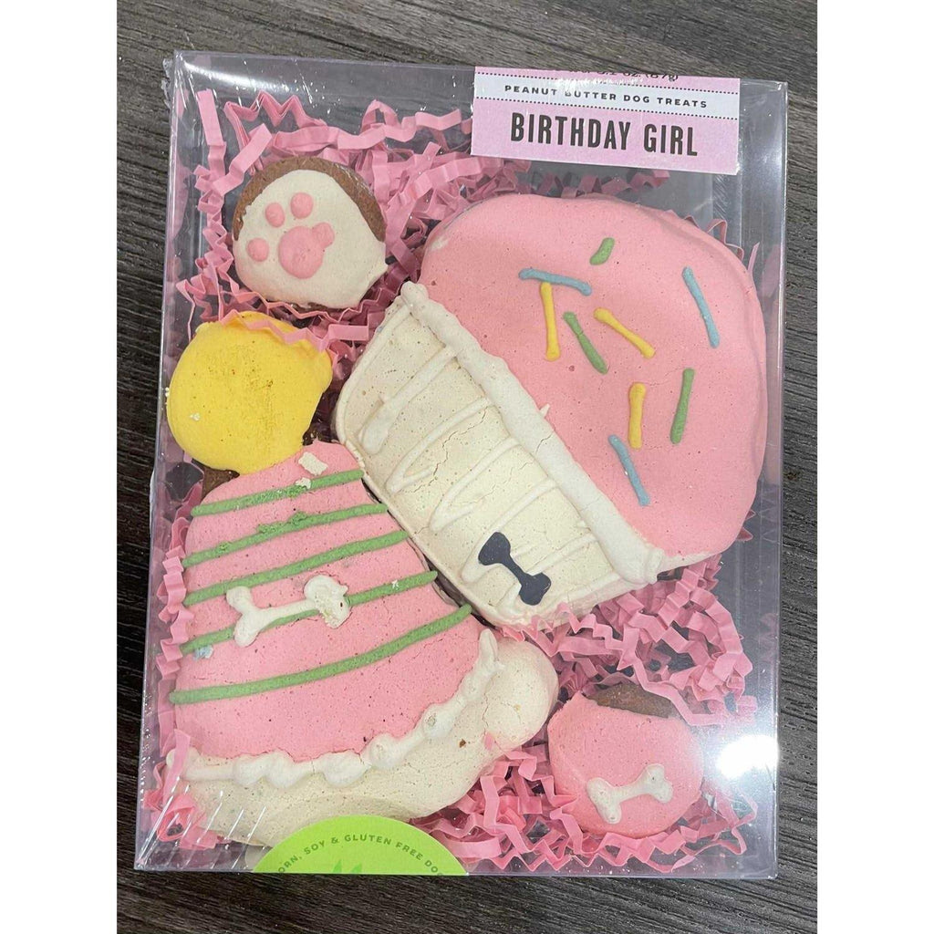 Birthday Girl Pet Supplies R9938
