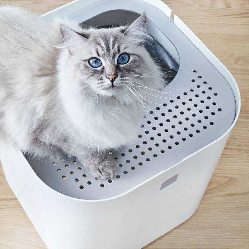 Litter Box D6654