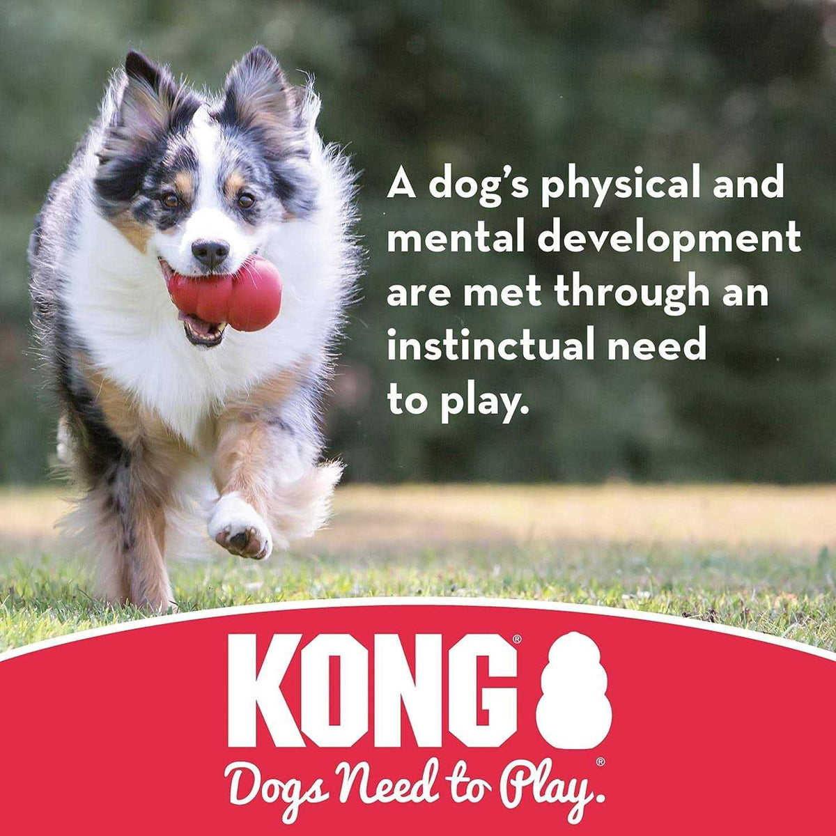 Dog Toy Ball S19873