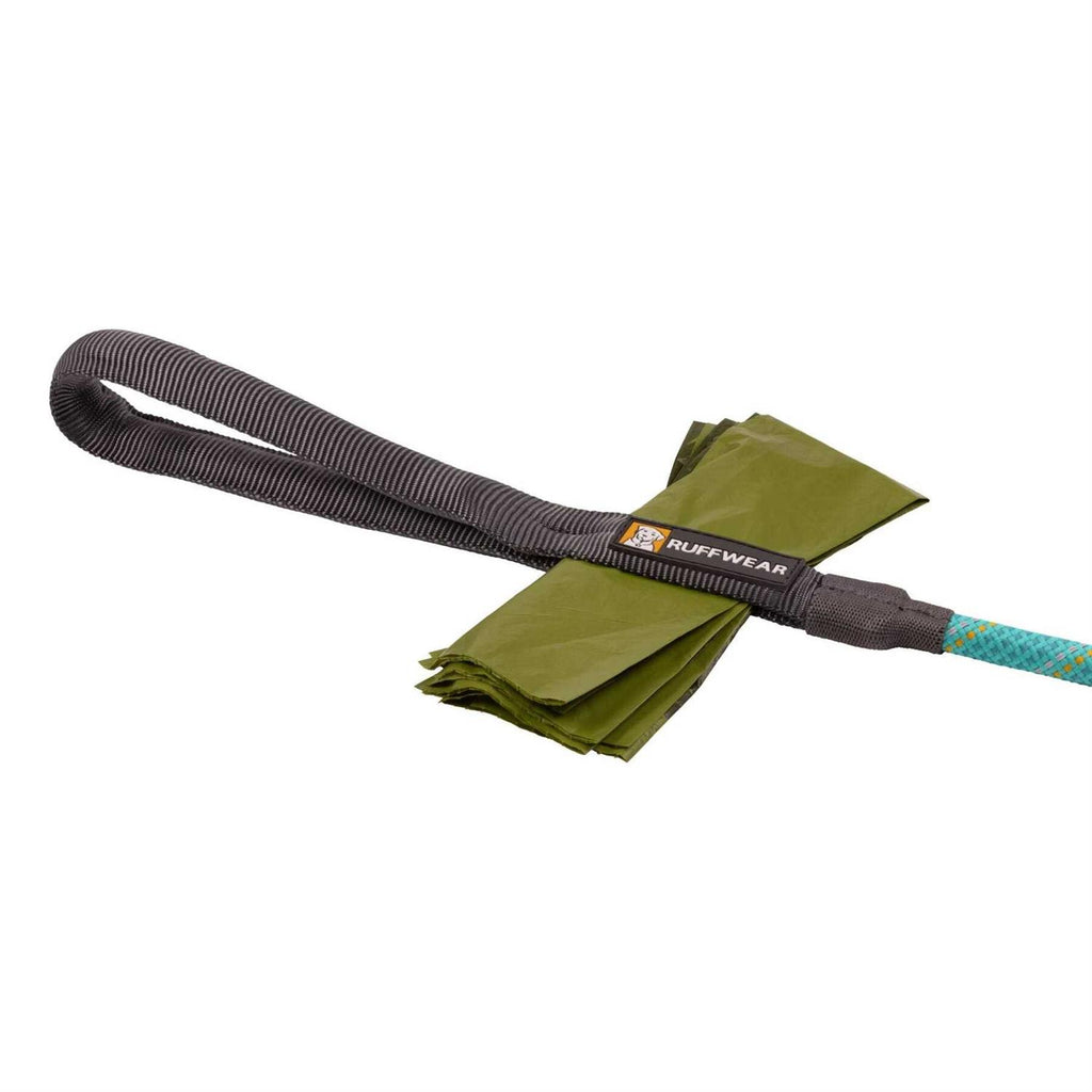 Leash Z48456