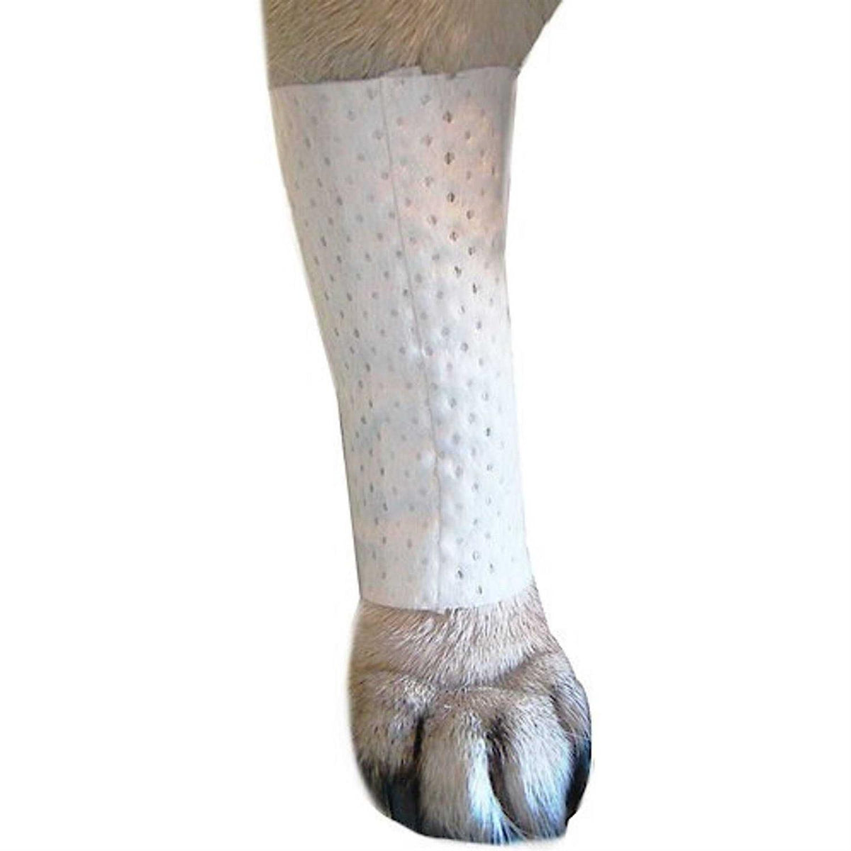 Disposable Dog Bandage Cover G412996