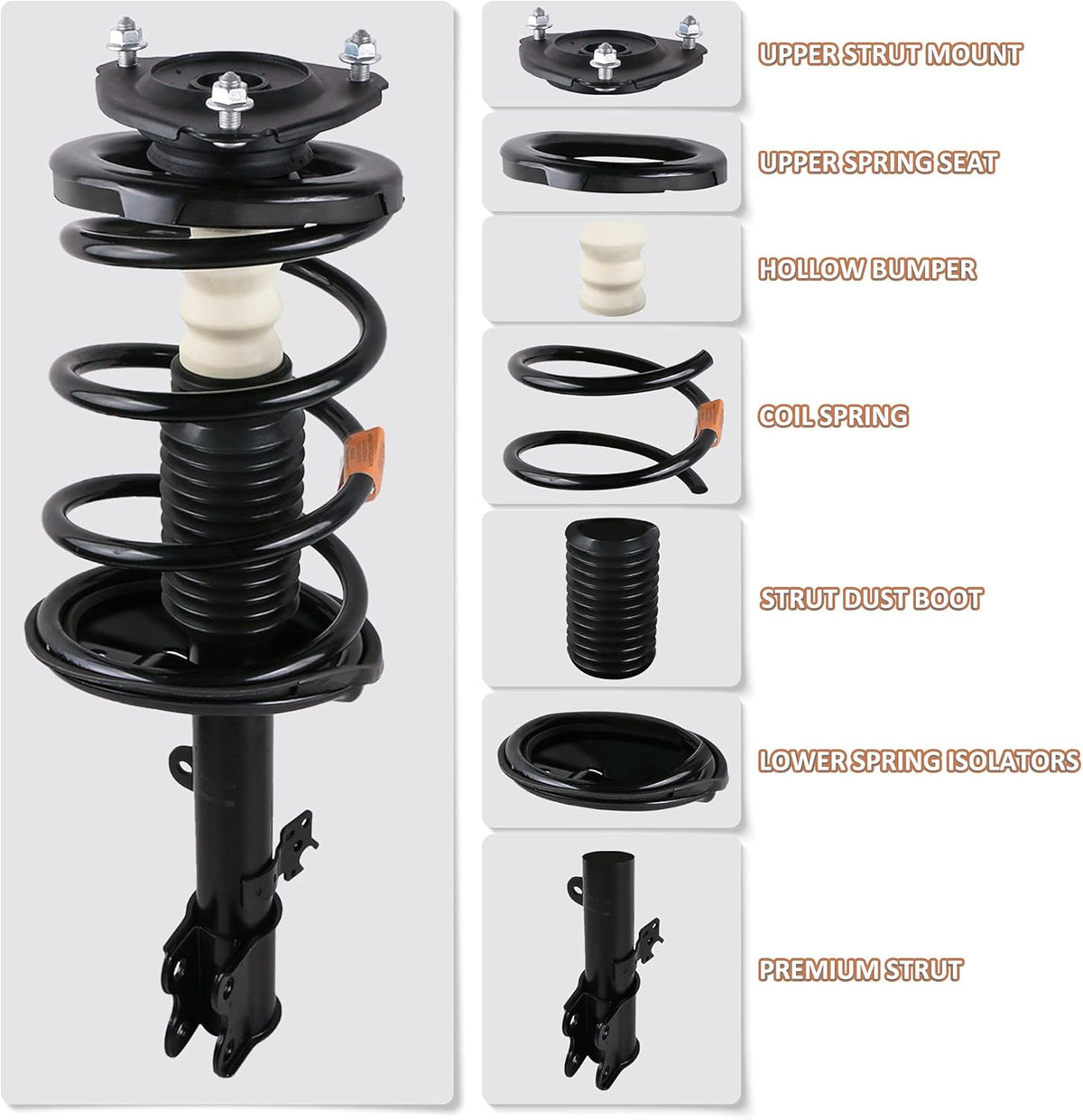 Front and Rear Complete Strut Assemblies Shock Absorbers Set of 4 P814246