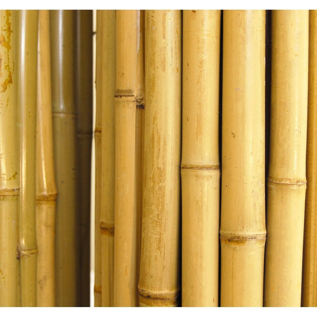 Natural Bamboo Fencing D361472