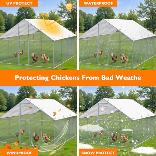 Chicken Coop Cover X5523