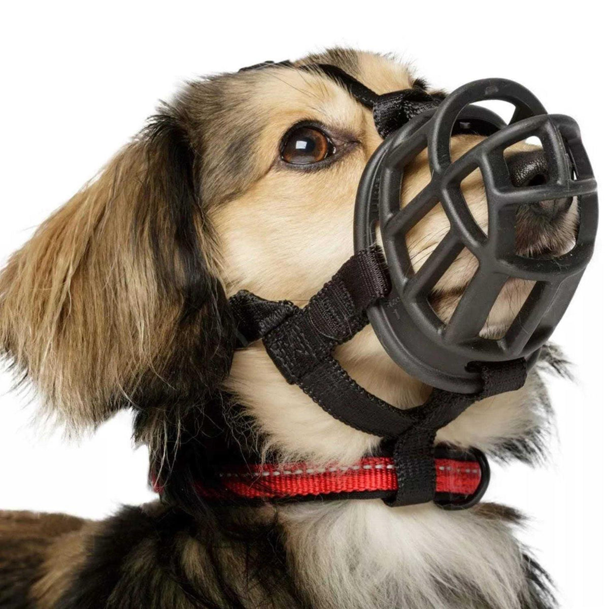 Ultra Muzzle D955