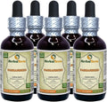 Dried Root Liquid Extract 5x2 oz L5646
