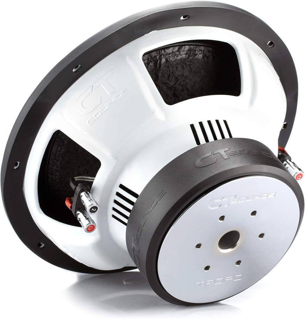 12 Inch 1300 Watts Max Dual 2 Ohm Car Subwoofer C189
