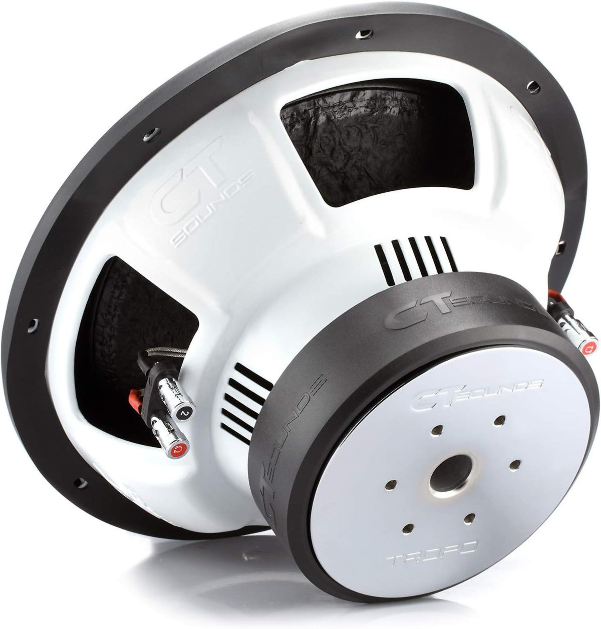 12 Inch 1300 Watts Max Dual 2 Ohm Car Subwoofer C189